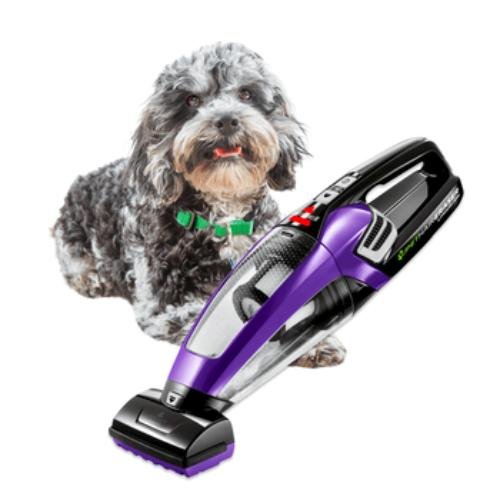 pet vacuum