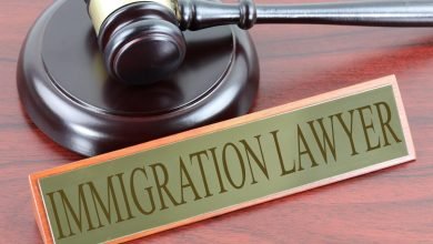 Immigration Lawyer