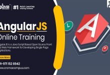 AngularJS Online Training