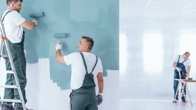 How Much Does It Cost To Get Walls Painted