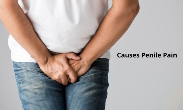 Causes Penile Pain