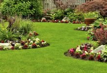 landscape cleaning services in Singapore