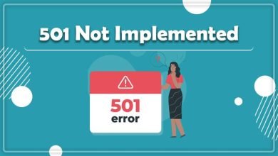 HTTP Error Code 501