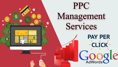 ppc management services
