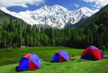 Fairy Meadow has the continental climate prevailing. In the summer it is warm and dry, and in the winter it is cold and wet. The average annual temperature for