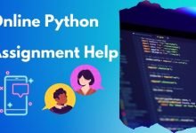 Online Python Assignment Help