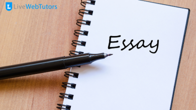 How Many Different Types of Essays Are There?
