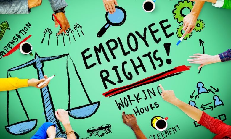 Which Areas Of Employment Are Covered By The Law?