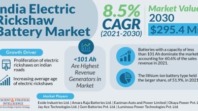 India Electric Rickshaw Battery Market