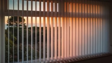 Photo of The Emergence Of Blinds And How They Are Used Today