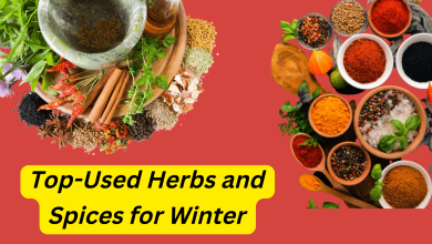 Spices Supplier in India