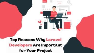 laravel developers