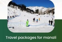 Travel Packages For Manali